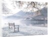 Bench by still lake by Assaf Frank